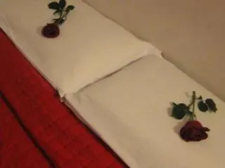 Apartment Icarus *